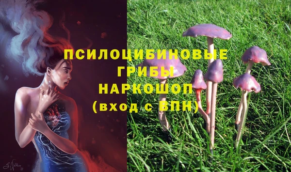 мяу мяу мука Балахна