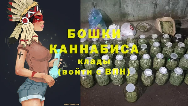ПСИЛОЦИБИНОВЫЕ ГРИБЫ Балабаново