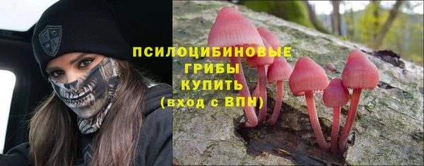 a pvp Баксан