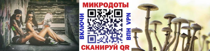 где купить наркотик  Вуктыл  дарк нет официальный сайт  Псилоцибиновые грибы мухоморы 